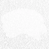 Farby zewnętrzne - IRISS Farba fasadowa FASADOWA Biały IRISS - miniaturka - grafika 1