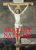 Religia i religioznawstwo - Sfinks Skazany na śmierć - Droga Krzyżowa i Gorzkie Żale - Praca zbiorowa - miniaturka - grafika 1