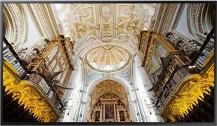 Samsung Monitor QM49N LH49QMNEBGC/EN - Monitory reklamowe i wyświetlacze - miniaturka - grafika 3