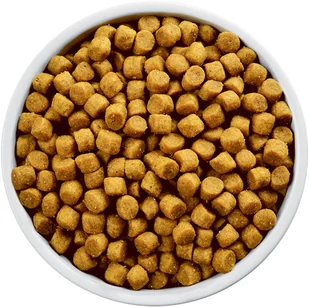 Hills L/d Liver Care 10kg - Sucha karma dla psów - miniaturka - grafika 3