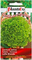 Nasiona i cebule - Plantico Sałata typ Lollo Bionda - miniaturka - grafika 1