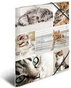 Teczki i skoroszyty - Herma Teczka A4 19212 - miniaturka - grafika 1