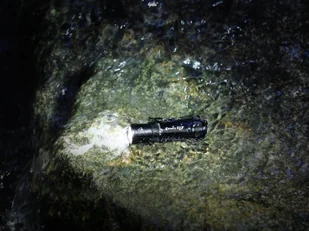 Fenix Latarka diodowa E12 V2.0 039-462 - Latarki - miniaturka - grafika 6