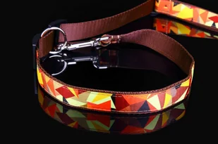 Haas F1 Team ZOO LESZCZ (PL) Solidna Regulowana Z Obrożą 2w1 Dla Psa Skóra Naturalna 30 mm / 220 cm ZL01809 ZOO LESZCZ (PL) - Smycze dla psów - miniaturka - grafika 4