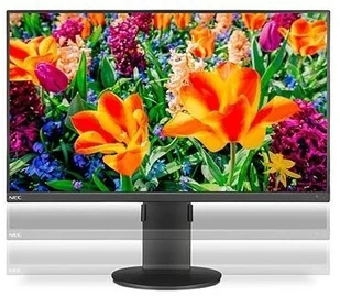 NEC E243F Czarny - Monitory - miniaturka - grafika 6