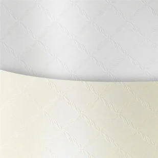 Galeria Papieru Karton ozdobny Argo A4 Chic diamentowa biel 220/20 204804 - Papier do drukarek - miniaturka - grafika 2