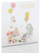 Pudełka i akcesoria na płyty CD - Obwoluta TS Hello Baby! (na płytę CD/DVD) - miniaturka - grafika 1