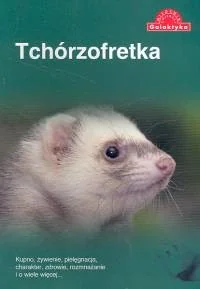 Galaktyka Tchórzofretka - Praca zbiorowa - Przewodniki - miniaturka - grafika 3