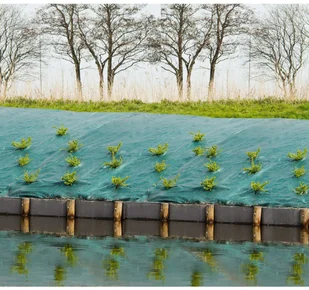 Nature Agrotkanina, 2 x 5 m, kolor zielony, 6030306 Outsideliving - Pozostałe elektronarzędzia - miniaturka - grafika 3