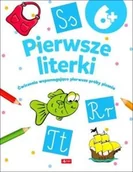 Pedagogika i dydaktyka - Dragon Pierwsze literki - miniaturka - grafika 1