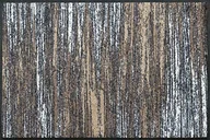 Wycieraczki - wash+dry wash + dry 067658 Scratchy wycieraczka, beżowy, 50 x 75 cm - miniaturka - grafika 1