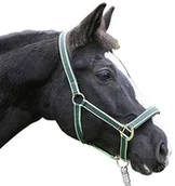 Akcesoria jeździeckie - Kerbl ekskluzywne uzda z 2 klamrami, zielony, 2, 32205 32205 - miniaturka - grafika 1