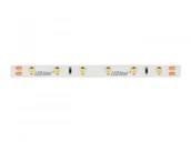 Taśmy LED - Led line Taśma LED LEDline PRO 300SMD3528 24V biała dzienna IP20 NIEWODOODP. - 5m 240652 - miniaturka - grafika 1