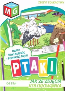 Jak ze zdjęcia kolorowanka Ptaki - Książki edukacyjne - miniaturka - grafika 2