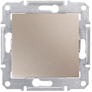 Berker schodowy, Schneider Electric SEDNA SDN0400168, bez ramki, kolor satyna - Gniazdka elektryczne - miniaturka - grafika 2