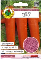 Nasiona i cebule - Pnos Marchew jadalna Lenka nasiona inkrustowane - miniaturka - grafika 1