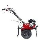 Glebogryzarki - CEDRUS GL05 - miniaturka - grafika 1