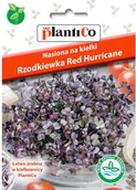 Nasiona i cebule - Plantico Nasiona na kiełki rzodkiewka czerwona - miniaturka - grafika 1