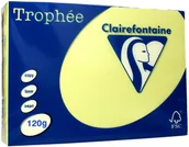 Papier do drukarek - Emerson Papier ksero A4 120g kanarkowy Trophee - miniaturka - grafika 1