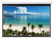 Ekrany projekcyjne - Aveli ekran projekcyjny 175x109 cm 16:10 XRT 00104) - miniaturka - grafika 1