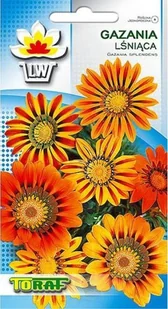 Toraf KWIATY Gazania lśniąca nasiona 0,5g 00389 - Nasiona i cebule Toraf KWIATY Gazania lśniąca nasiona 0,5g 00389 - Nasiona i cebule - miniaturka - grafika 1
