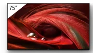 Monitory reklamowe i wyświetlacze - Sony FWD-75X95J - miniaturka - grafika 1