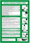 Tablice BHP - Znak informacyjny INSTRUKCJA UDZIELANIA PIERWSZEJ POMOCY - miniaturka - grafika 1