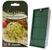 Kiełkownice i akcesoria - W.LEGUTKO Kiełkownica mała z nasionami MIESZANKA REGENERUJĄCA 10 x 16 x 3 cm W.LEGUTKO - miniaturka - grafika 1