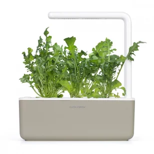 CLICK AND GROW Click And Grow Kapsułki roślinne Click and Grow Plant Pods Rukola 3-Pack SGR19X3 4742793008769 - Systemy inteligentnych domów CLICK AND GROW Click And Grow Kapsułki roślinne Click and Grow Plant Pods Rukola 3-Pack SGR19X3 4742793008769 - Systemy inteligentnych domów - miniaturka - grafika 6
