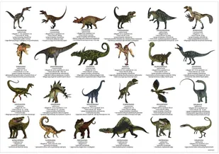 Derform Podkład oklejany edukacyjny dinozaury - Podkładki na biurko - miniaturka - grafika 2