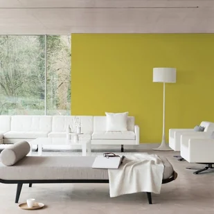 Dulux Farba Easy Care niedościgniona limonka 50 ml - Farby wewnętrzne - miniaturka - grafika 2