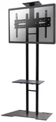 Akcesoria do monitorów - NewStar Stojak mobilny PLASMA-M1700ES (55") - miniaturka - grafika 1