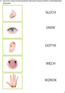 Wydawnictwo MAC Zdobywam świat. Karty pracy część 1 - jesień. Poziom 7 882101 - Podręczniki dla szkół podstawowych - miniaturka - grafika 7