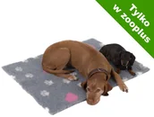 Legowiska dla psów - Vetbed zooplus Isobed dla psa, szary z sercami i łapkami - Dł. x szer.: 100 x 75 cm - miniaturka - grafika 1