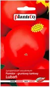Nasiona i cebule - Plantico Pomidor karłowy gruntowy Lubań - miniaturka - grafika 1
