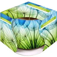 Świece - Bispol świeca zapachowa w szkle dmuchawce 1szt - miniaturka - grafika 1