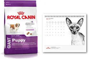 Royal Canin Giant Puppy 15kg + Kalendarz GRATIS! 179930 - Mokra karma dla psów - miniaturka - grafika 2