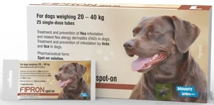 Fipron dla psa L | FIPRON L - Szampony i odżywki dla psów Fipron dla psa L | FIPRON L - Szampony i odżywki dla psów - miniaturka - grafika 1