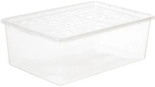 Plast Team Pojemnik na buty Basic 34 x 23,7 x 21 cm Nie) oficjalny sklep internetowy YORK basic-pojemnik-na-obuwie - Pudła i pojemniki do przechowywania - miniaturka - grafika 3