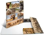 Teczki i skoroszyty - Herma Teczka A3 19222 19222 - miniaturka - grafika 1