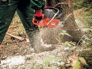 Oleo-Mac GS 630 PROFI 50029127E5 - Piły spalinowe - miniaturka - grafika 14