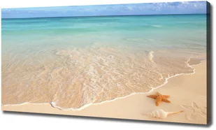 Foto obraz na płótnie Rozgwiazda na plaży - Obrazy i zdjęcia - miniaturka - grafika 3