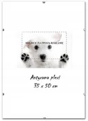 Ramki na zdjęcia - Antyrama Plexi 35x50 50x35 cm , Ramka, Obraz, Fv! - miniaturka - grafika 1