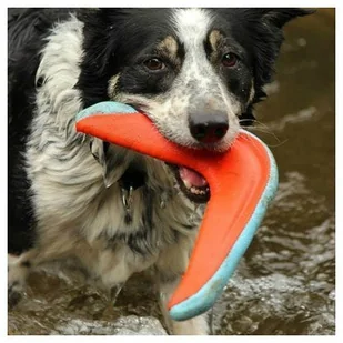 CHUCKIT AMPHIBIOUS BOOMERANG 18200 - Zabawki dla psów - miniaturka - grafika 2