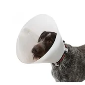 Specjalistyczne artykuły dla zwierząt - Croci Obroża dla Buster Classic, 12.5cm - miniaturka - grafika 1