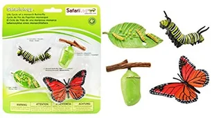 SAFARI Cykl rozwojowy  Motyl 622616 - Zabawki interaktywne dla dzieci - miniaturka - grafika 2