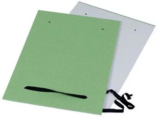 Donau Fascykuła z etykietą, tektura/PP, A4, mix kolorów 2092001PL-99 - Pudła i kartony archiwizacyjne - miniaturka - grafika 2