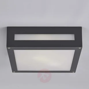 Lampenwelt Prostokątna zewnętrzna lampa sufitowa Nerea - Lampy ogrodowe - miniaturka - grafika 3