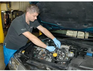 Draper Tools Zestaw nasadek Torx, 14 części, TX-STAR, 35381 Draper Tools - Pozostałe elektronarzędzia - miniaturka - grafika 6