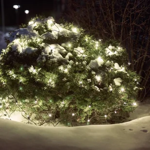 Markslojd Siatka świetlna Chrissline Extra 100 LED 2 850 K - Oświetlenie świąteczne - miniaturka - grafika 2